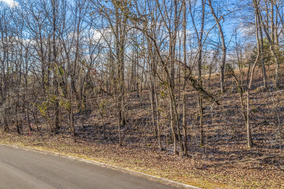 Photo #5: 9043 Paradise View Drive