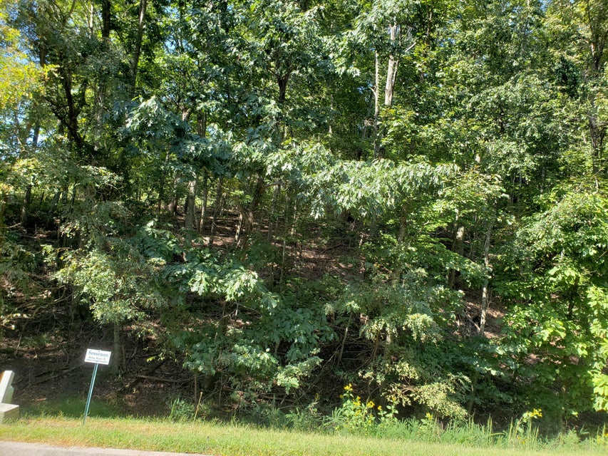 Photo #6: 9043 Paradise View Drive