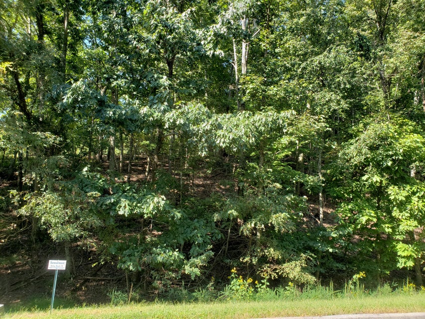 Photo #8: 9043 Paradise View Drive