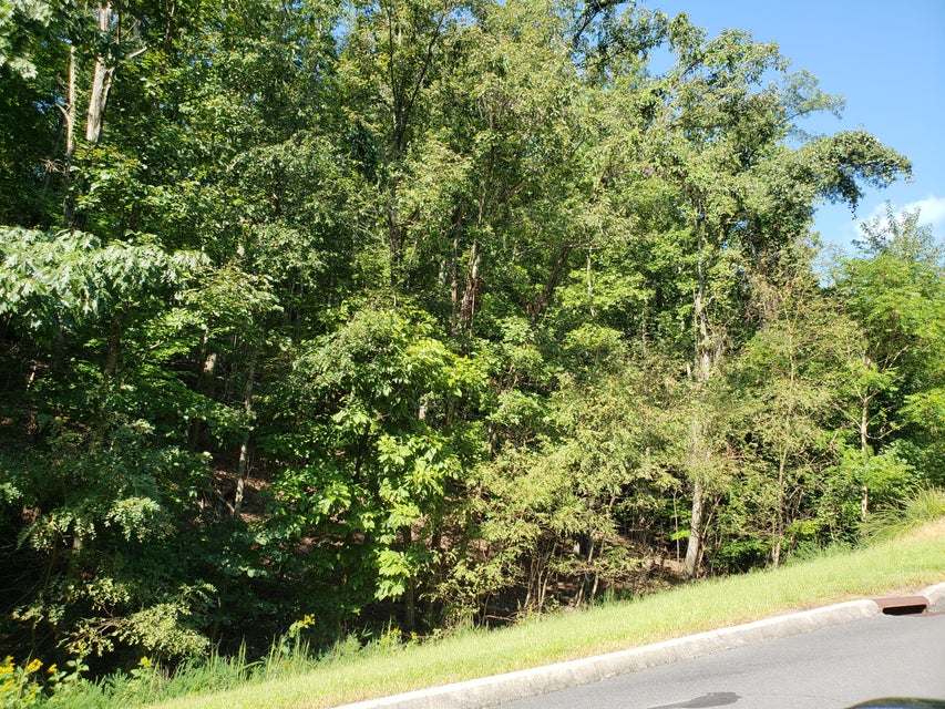 Photo #9: 9043 Paradise View Drive