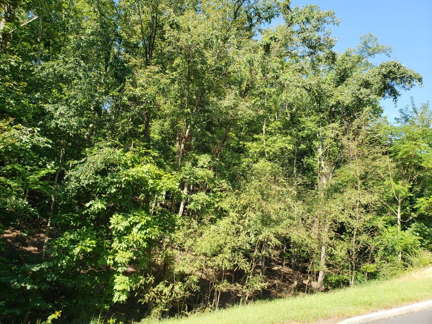 Photo #10: 9043 Paradise View Drive