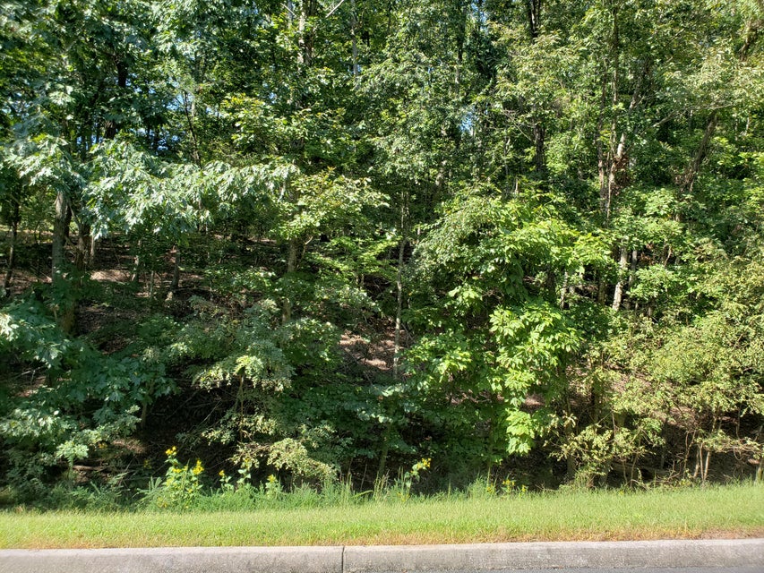 Photo #11: 9043 Paradise View Drive