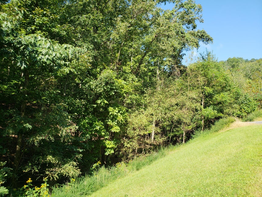 Photo #12: 9043 Paradise View Drive