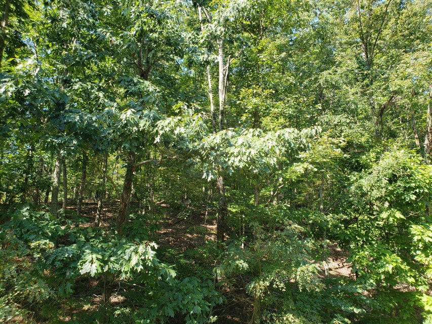 Photo #13: 9043 Paradise View Drive