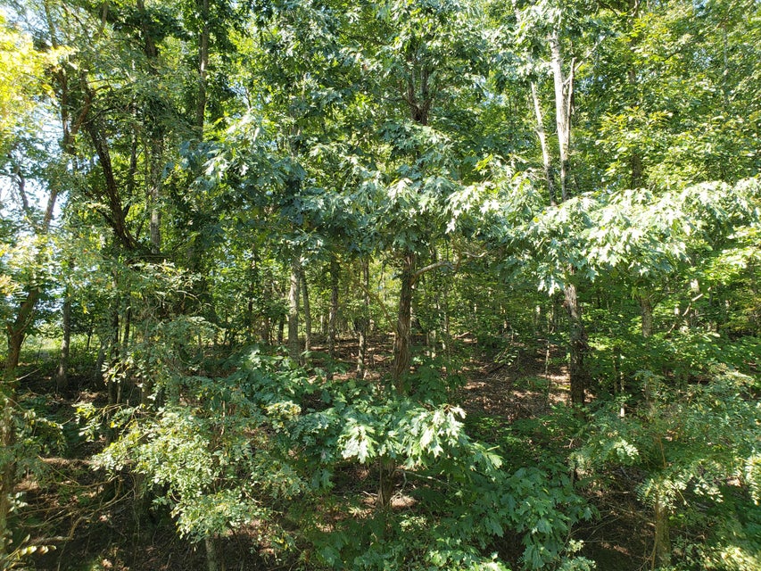 Photo #14: 9043 Paradise View Drive