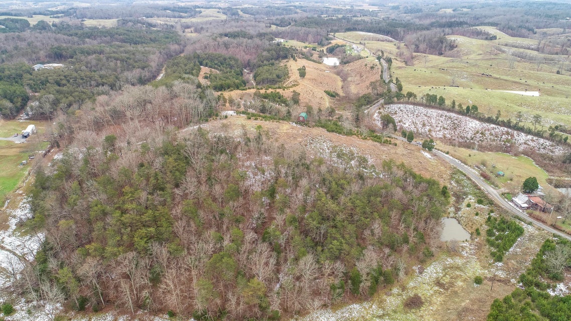Photo #4: 2494 Democrat Road