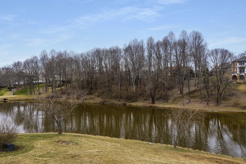 Photo #15: Lot 97 Springview Ridge