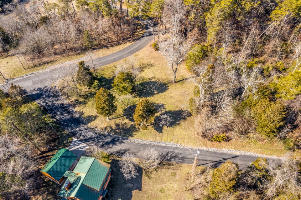 Photo #5: 445 Chelaque Way
