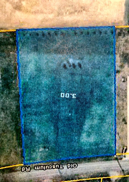 Photo #6: 0 Old Tusculum Road