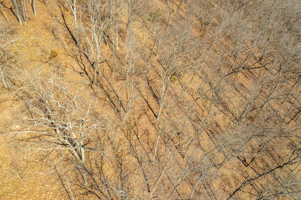 Photo #4: 1167 Keetowah Drive