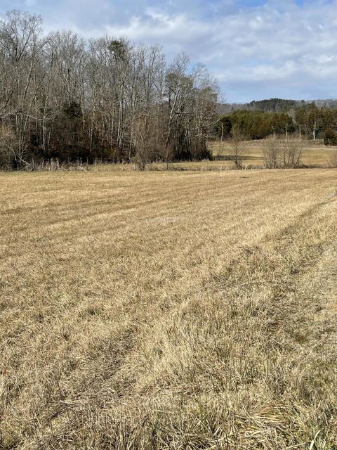 Photo #2: Lot 6 Westwood Rd