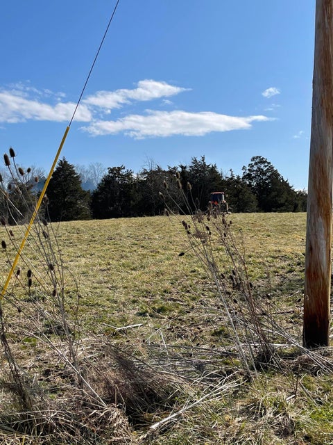 Photo #3: Lot 52 Lee Road