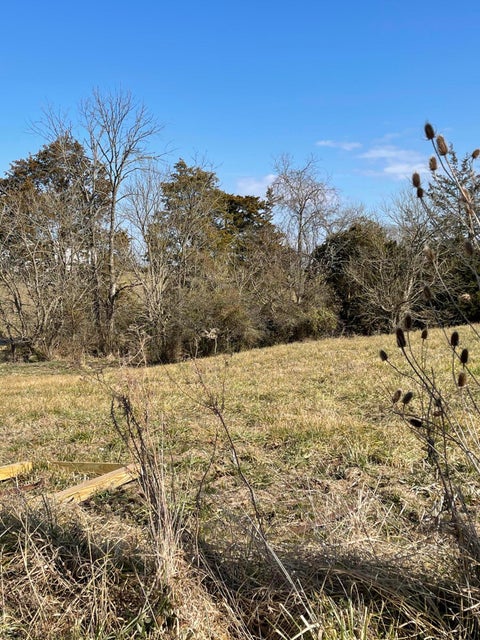 Photo #4: Lot 52 Lee Road