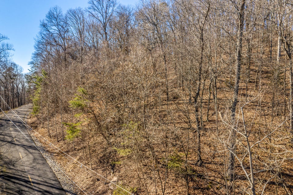 Photo #2: Lot 31 Keetoowah Drive