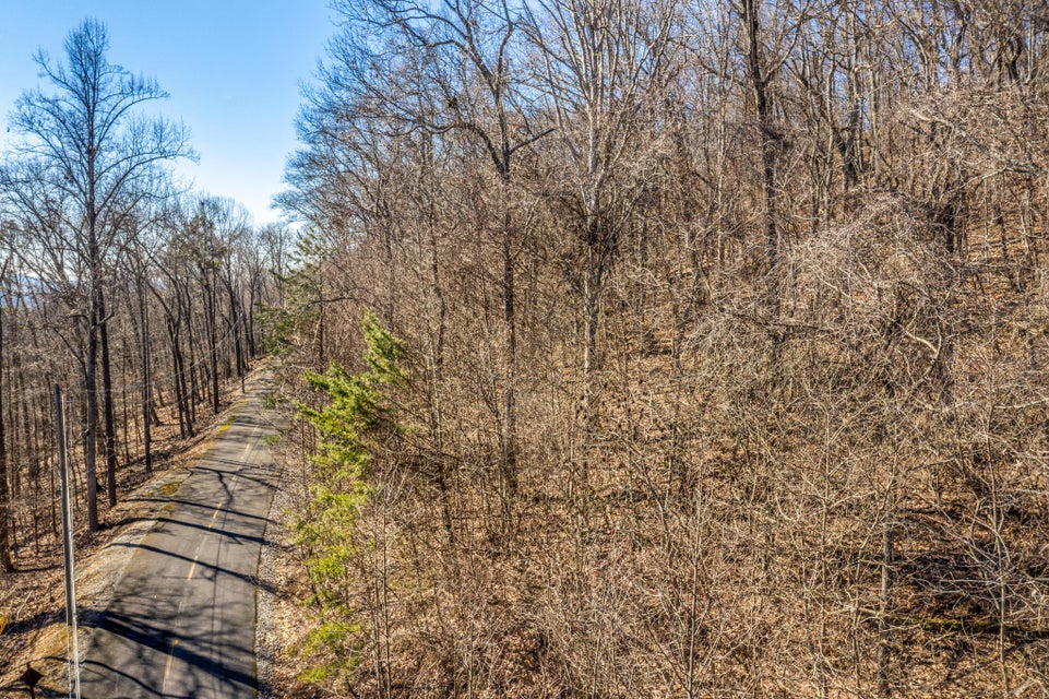Photo #3: Lot 31 Keetoowah Drive