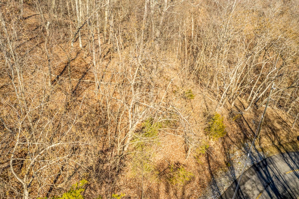 Photo #4: Lot 31 Keetoowah Drive