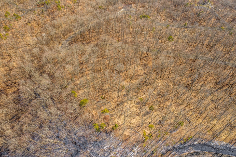 Photo #6: Lot 31 Keetoowah Drive