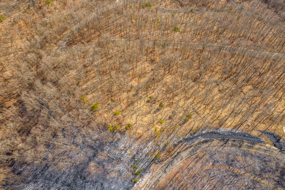 Photo #7: Lot 31 Keetoowah Drive