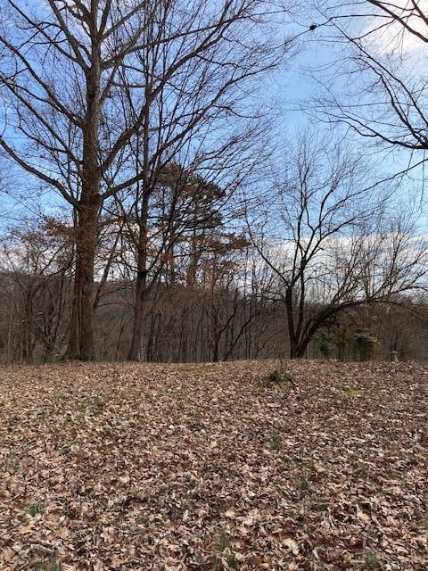 Photo #5: 760 Outer Drive