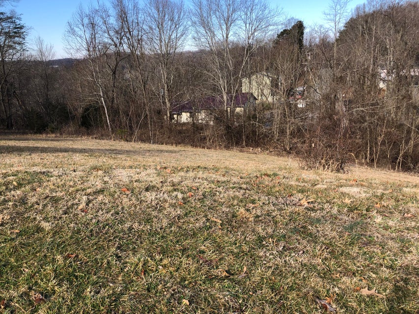 Photo #1: Tbd Stonebrook Loop