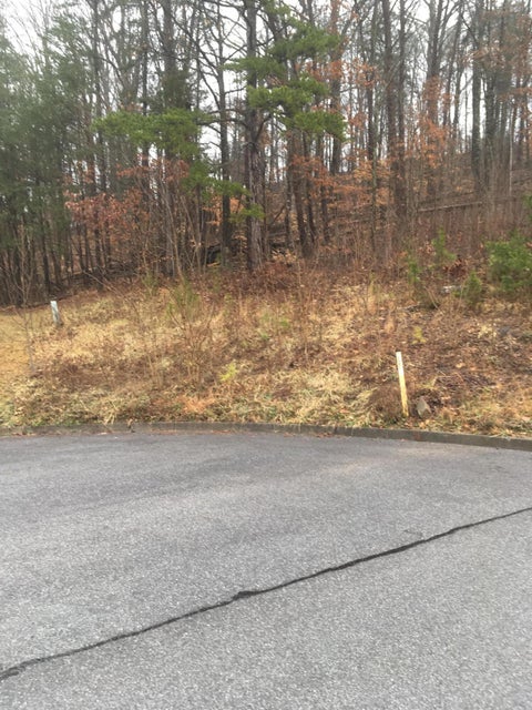 Photo #6: Tbd Old Moreland Drive