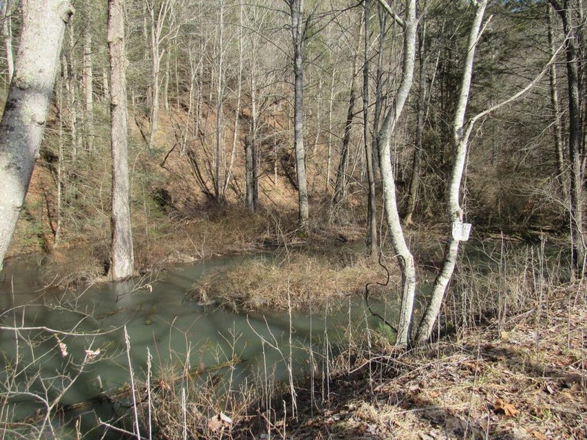 Photo #6: Tbd Arrowhead Drive