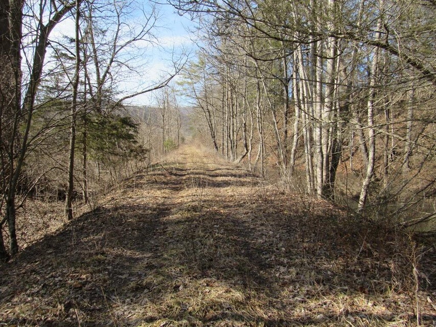 Photo #7: Tbd Arrowhead Drive