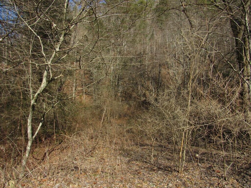 Photo #9: Tbd Arrowhead Drive