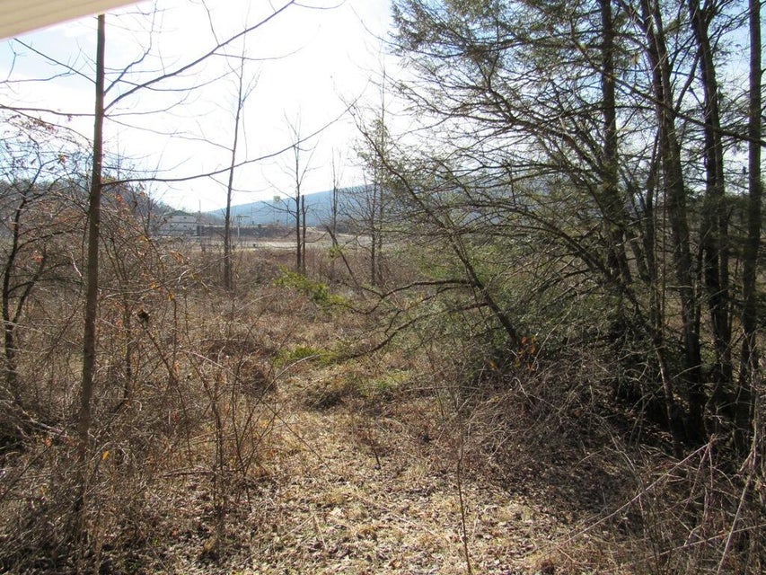 Photo #10: Tbd Arrowhead Drive