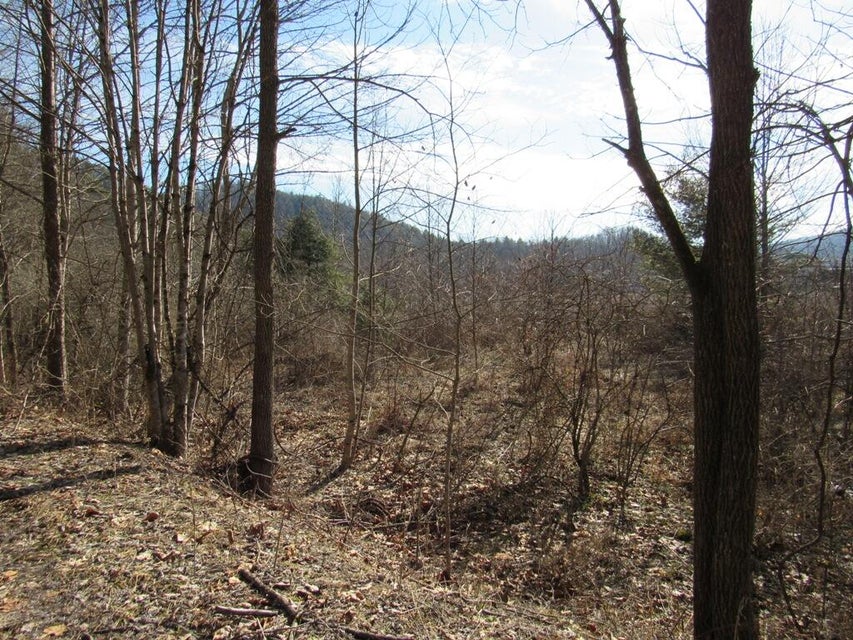 Photo #12: Tbd Arrowhead Drive