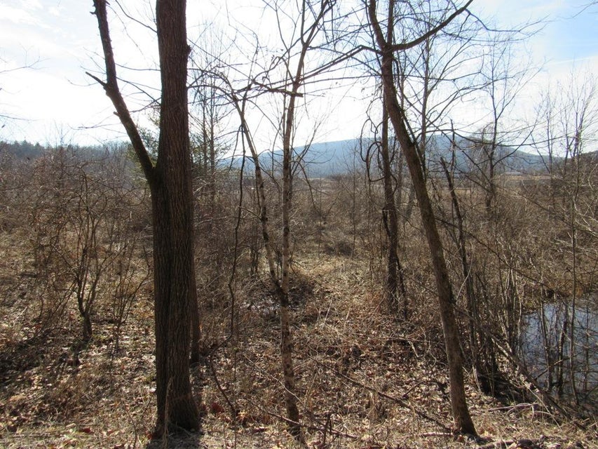 Photo #13: Tbd Arrowhead Drive