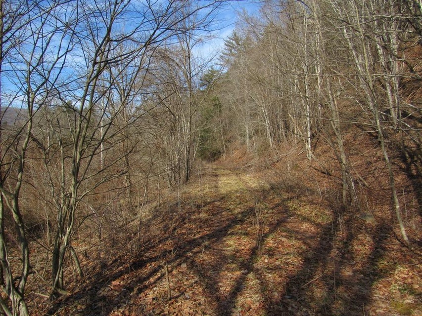 Photo #17: Tbd Arrowhead Drive
