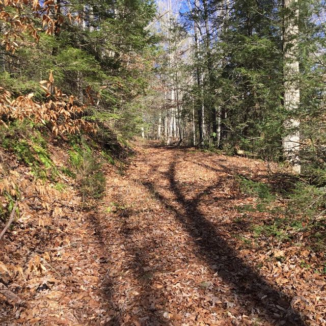 Photo #2: Tbd Big Dry Run Road