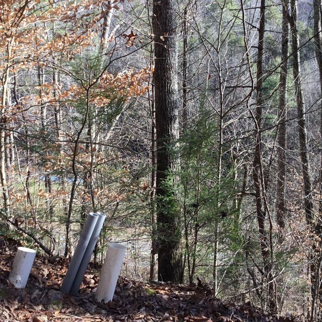 Photo #4: Tbd Big Dry Run Road