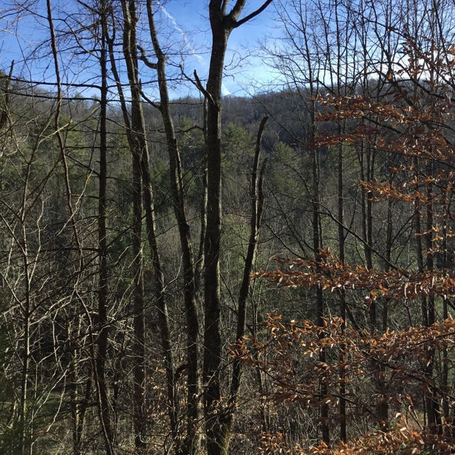 Photo #5: Tbd Big Dry Run Road