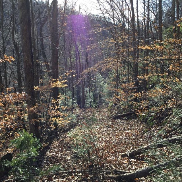 Photo #7: Tbd Big Dry Run Road