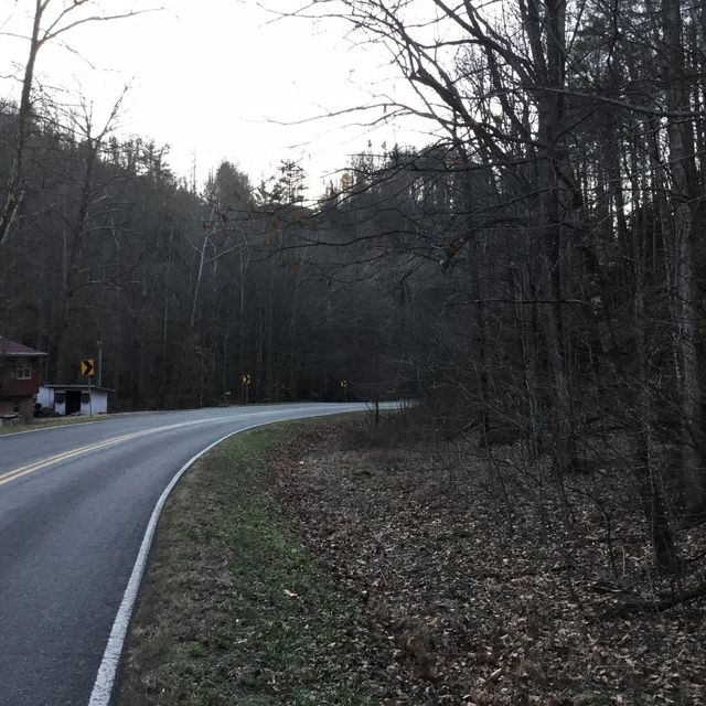 Photo #9: Tbd Big Dry Run Road