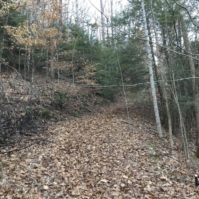 Photo #10: Tbd Big Dry Run Road