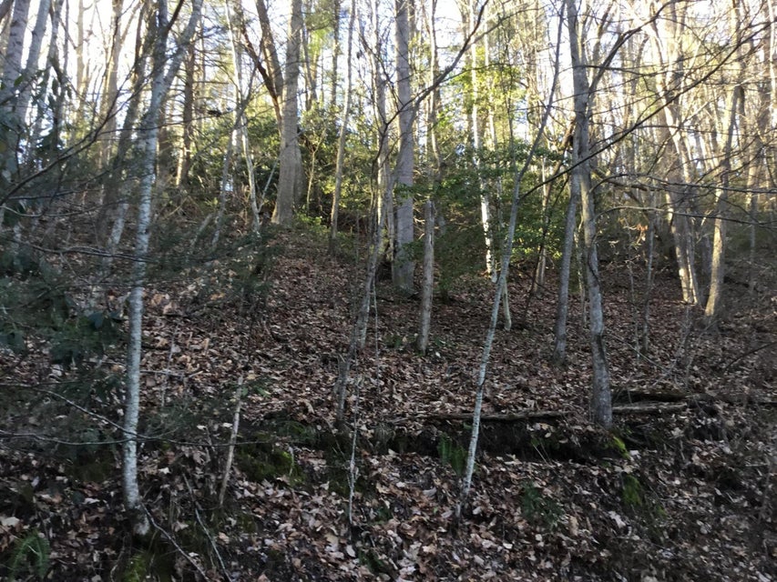 Photo #3: Tbd Banjo Ridge Rd Lot 3