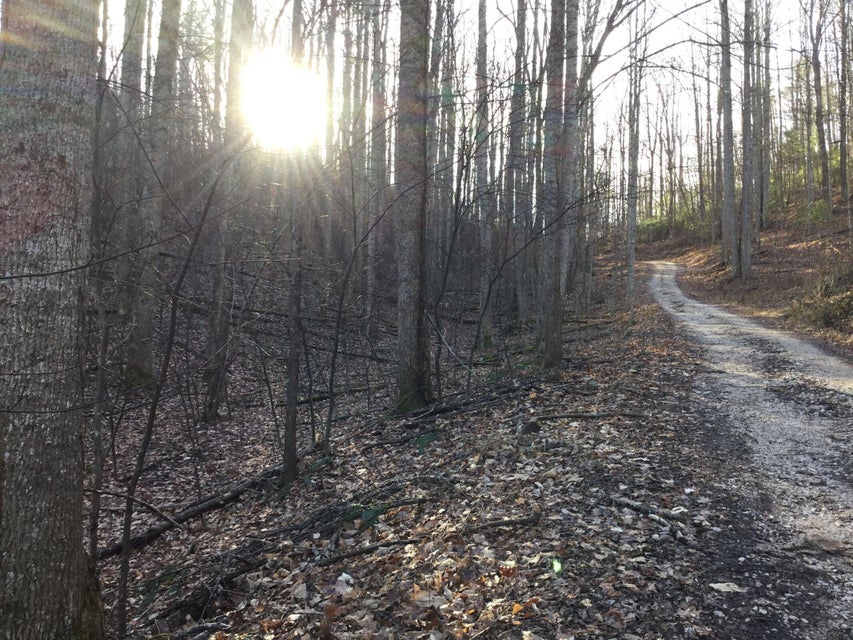Photo #6: Tbd Banjo Ridge Rd Lot 8