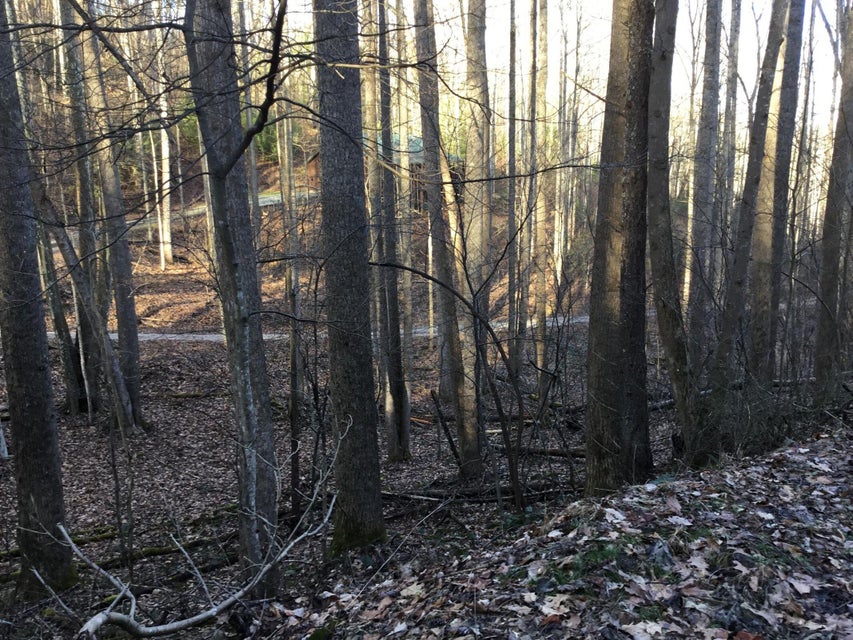 Photo #2: Tbd Banjo Ridge Rd Lot 39