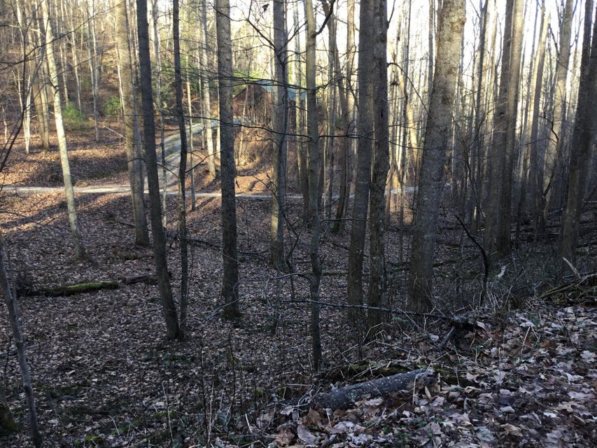 Photo #3: Tbd Banjo Ridge Rd Lot 39