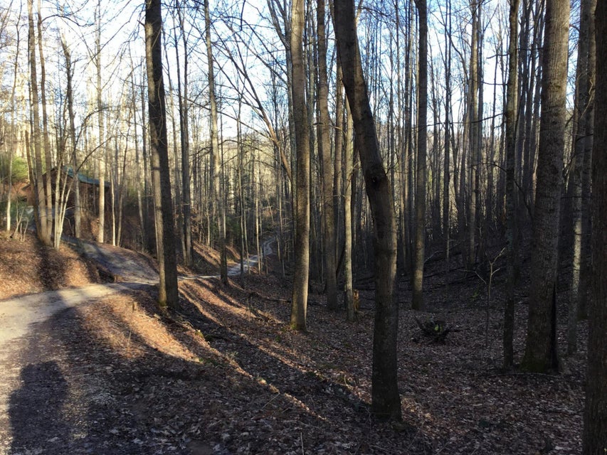 Photo #4: Tbd Banjo Ridge Rd Lot 39