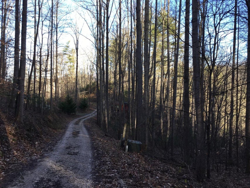 Photo #5: Tbd Banjo Ridge Rd Lot 39