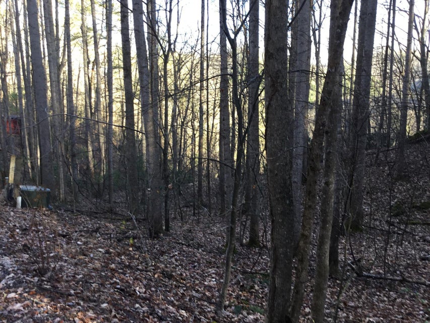 Photo #6: Tbd Banjo Ridge Rd Lot 39