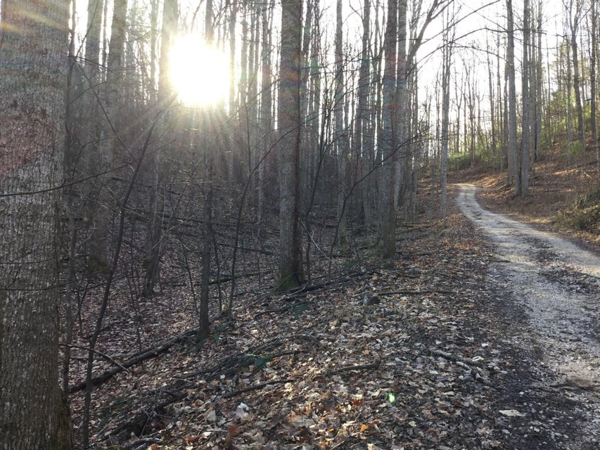 Photo #7: Tbd Banjo Ridge Rd Lot 39