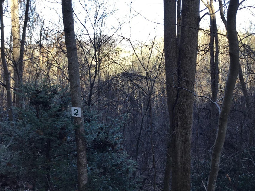 Photo #2: Tbd Banjo Ridge Rd Lot 2