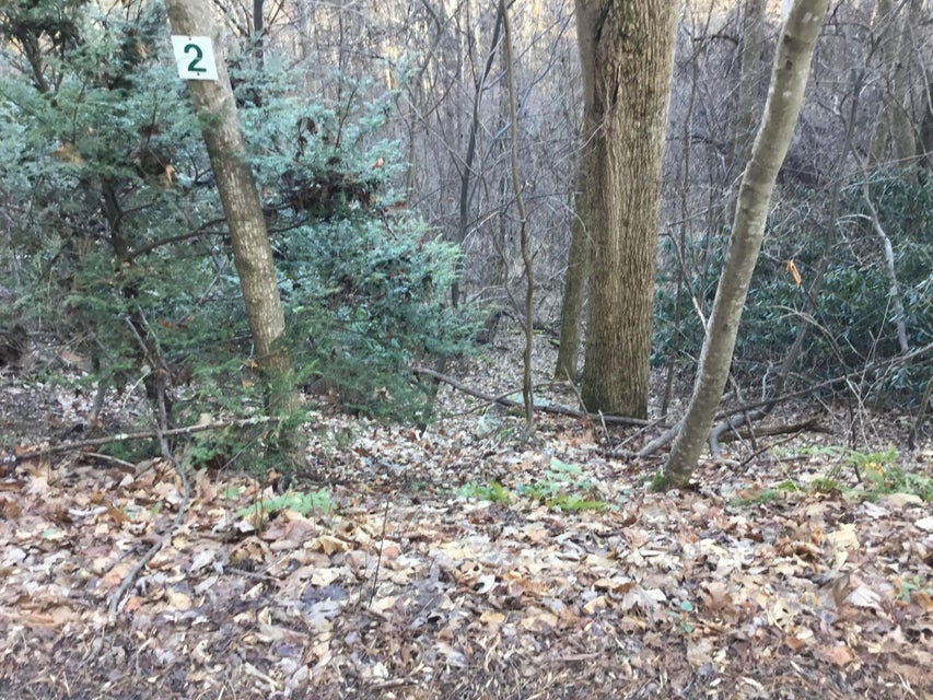 Photo #3: Tbd Banjo Ridge Rd Lot 2