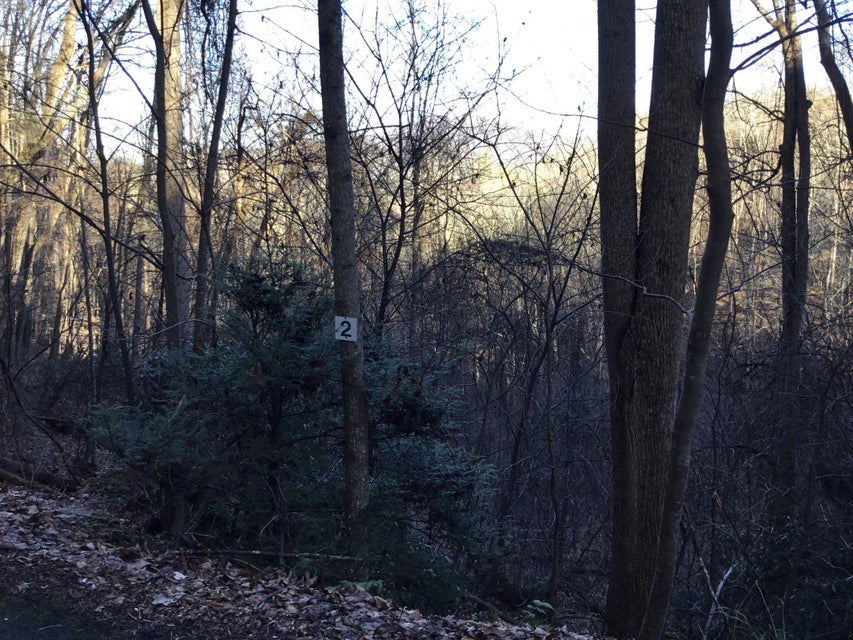 Photo #4: Tbd Banjo Ridge Rd Lot 2