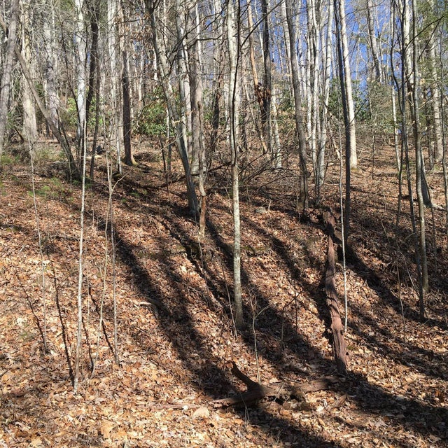 Photo #2: Tbd Banjo Ridge Rd Lot 33